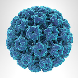 HPV-16